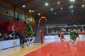 paniwnioskalamata80f10_result